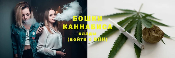 шишки Михайлов