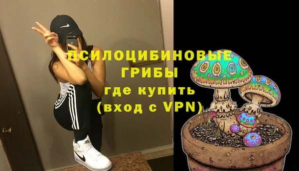 МДПВ Михайловск