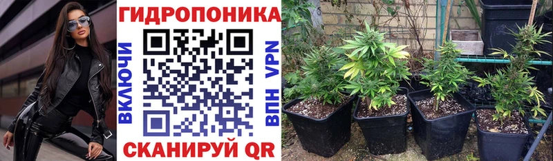 Шишки марихуана сатива  наркота  Елизаветинская 